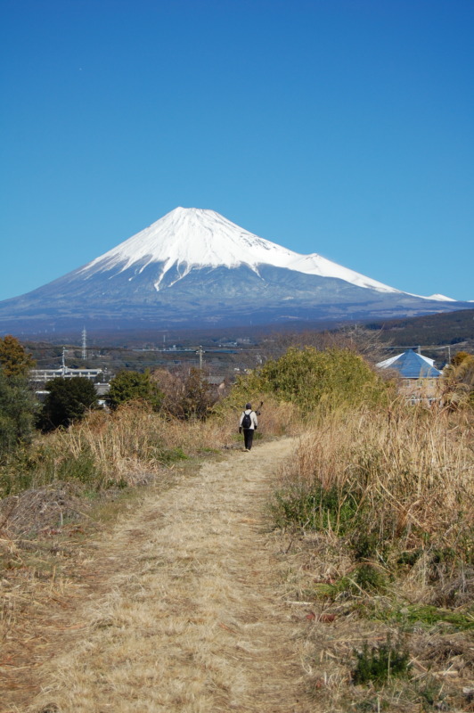 富士山