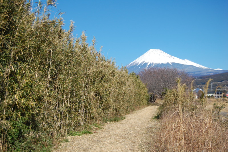 富士山