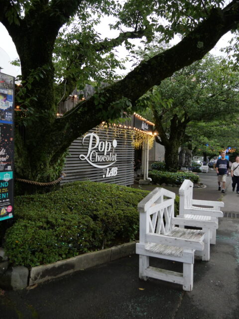 One Wish - Photo diary -