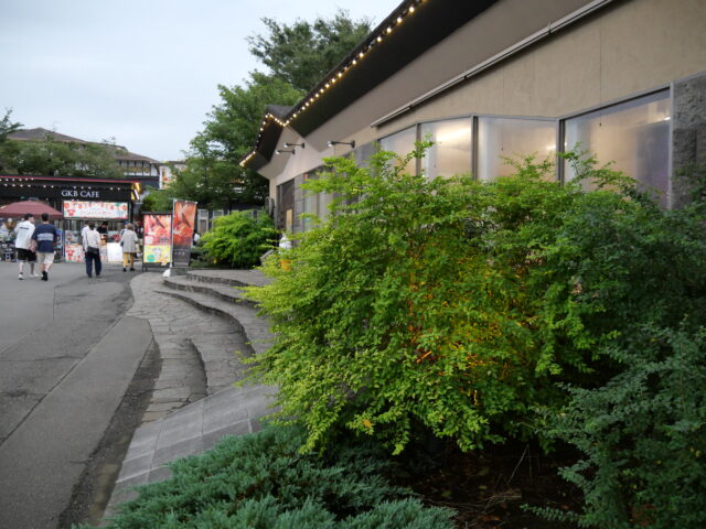 One Wish - Photo diary -