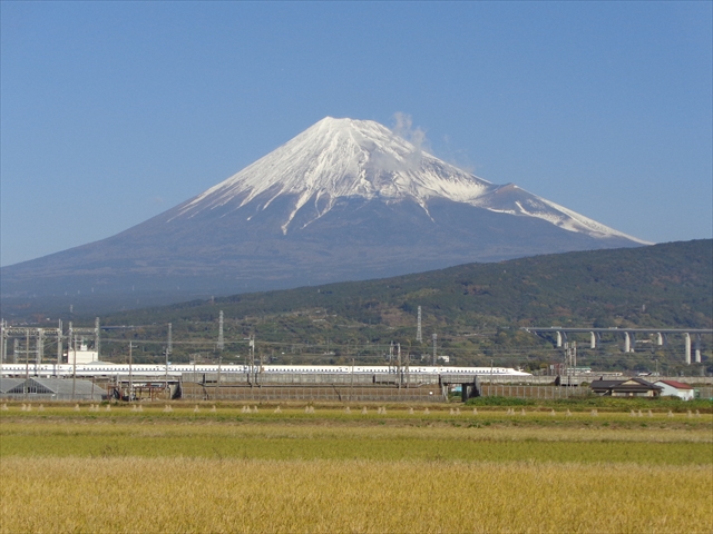 One Wish - Photo diary -