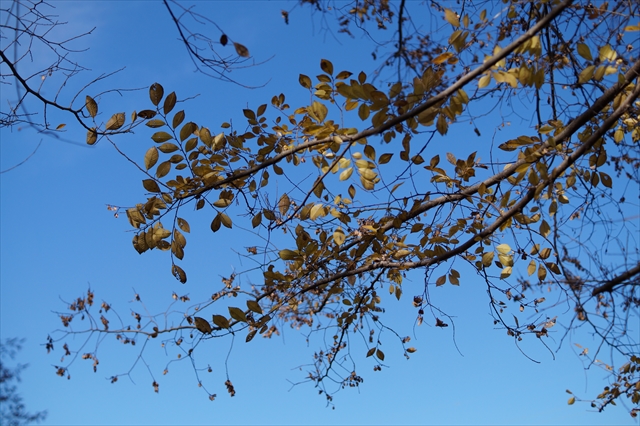 One Wish - Photo diary -