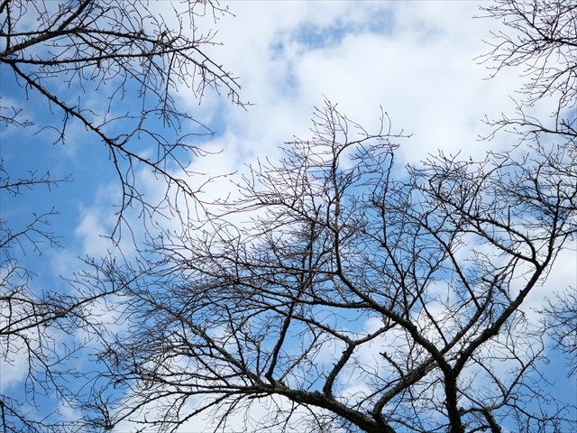 One Wish - Photo diary -