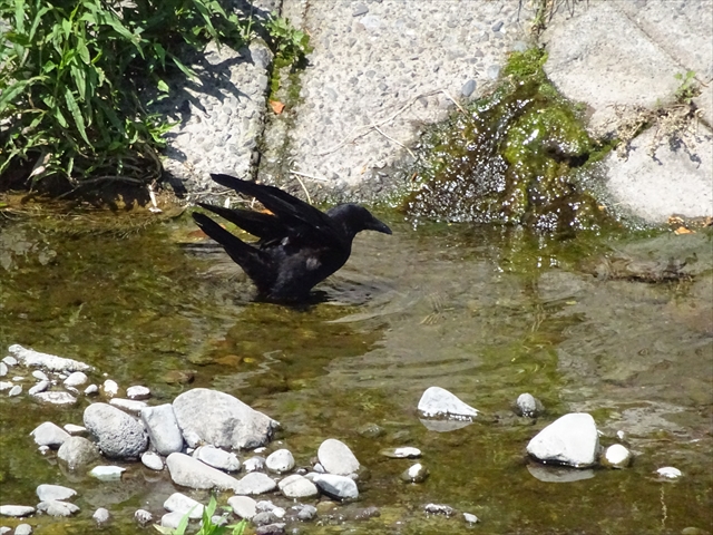 One Wish - Photo diary -