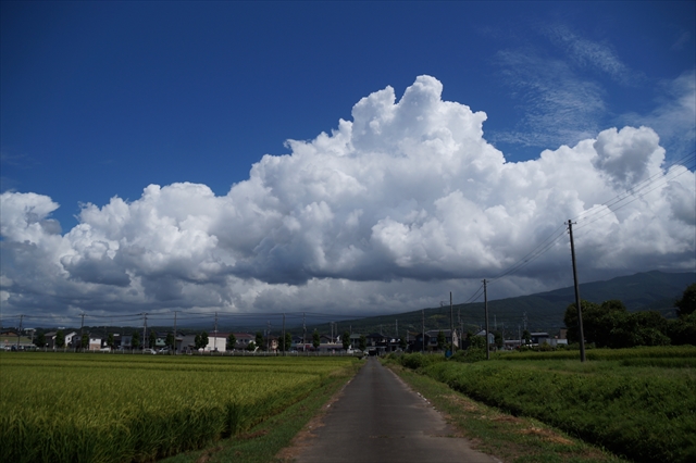 Atelier White Echo | Visual Archive