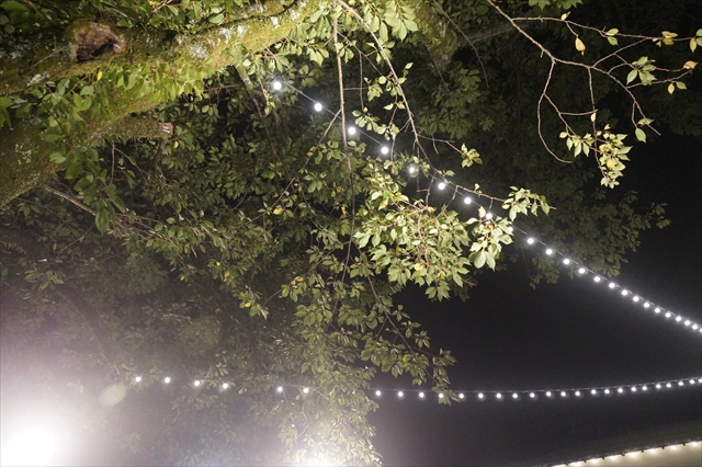 Atelier White Echo | Visual Archive